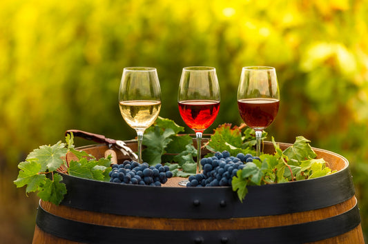 What Does Wine Taste Like? A Beginner's Guide