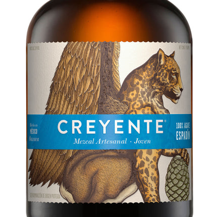 Creyente Joven