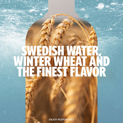 Absolut Lime 375mL