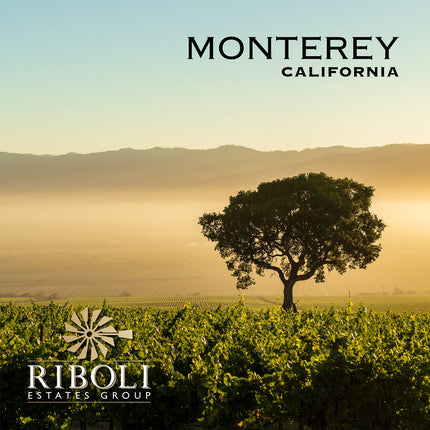Maddalena Riesling Monterey 2019