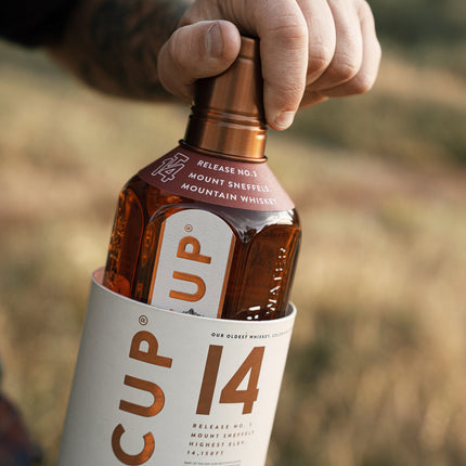 TinCup Fourteener Colorado 14 year