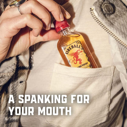 Fireball Cinnamon Whisky 1.75L