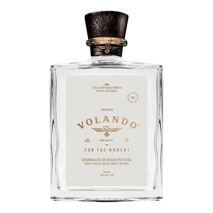 Volando Joven Oaxaca